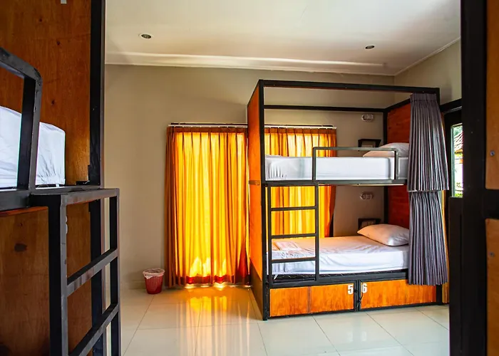 بيت شباب What The Duck Backpackers *