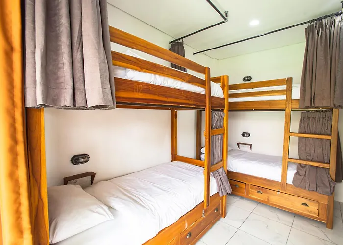 What The Duck Backpackers Albergue