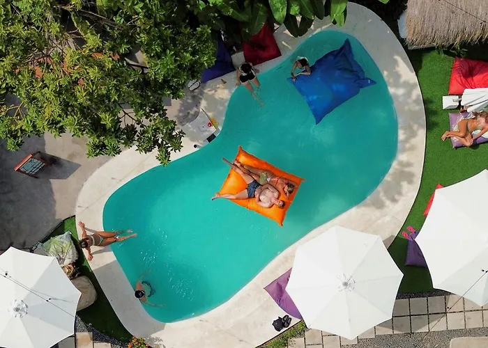 بيت شباب What The Duck Backpackers *